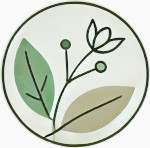 La herboristería de Roberta